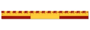 Educational Rulers: The right equipment for their studies