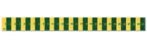 What Is a Scale Ruler and How Do You Use One?