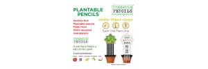   How choosing the right pencil could help the environment                    